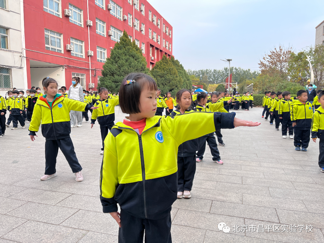 学生体操锻炼_体操培养学生什么能力_学生练体操好吗