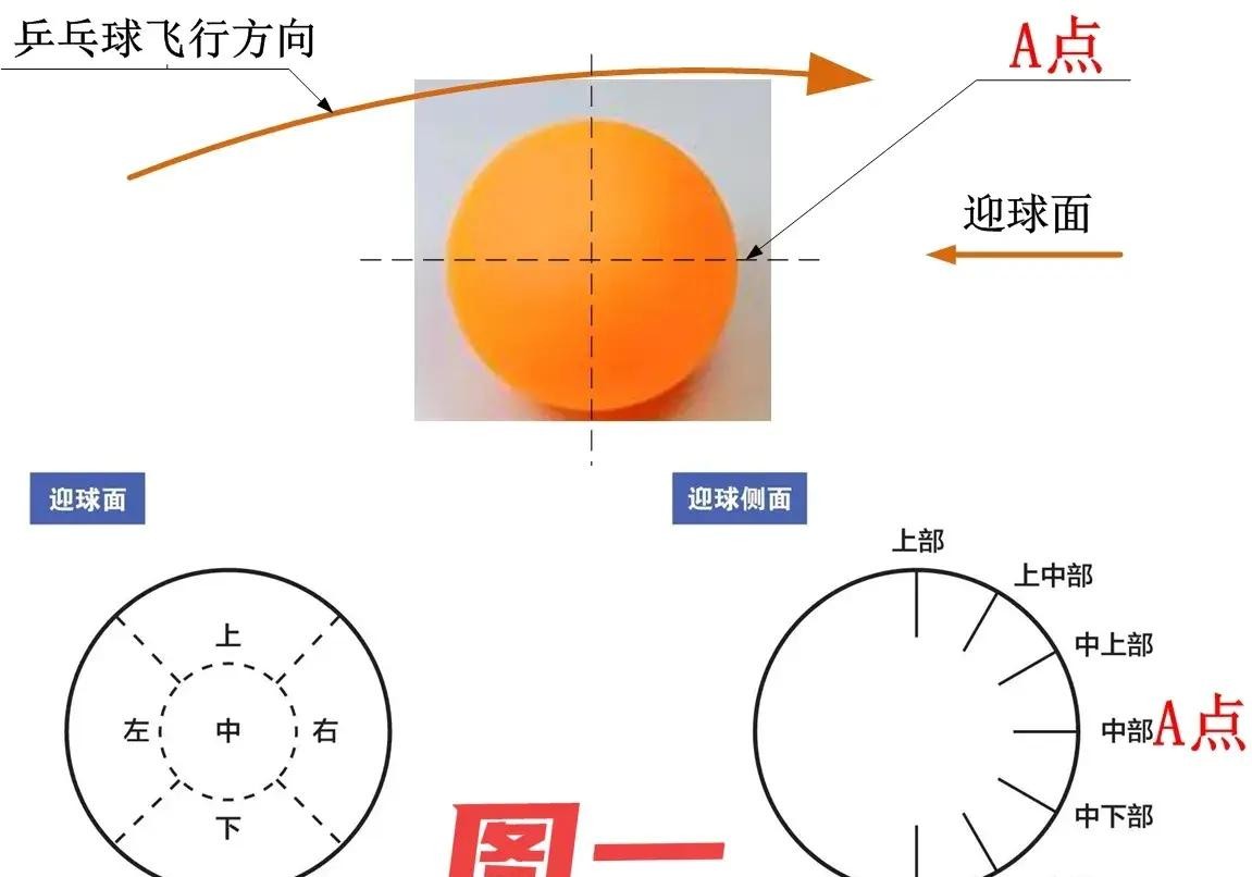 跳高比赛怎么跳_长版比赛的跳高技巧_跳高比赛的技巧