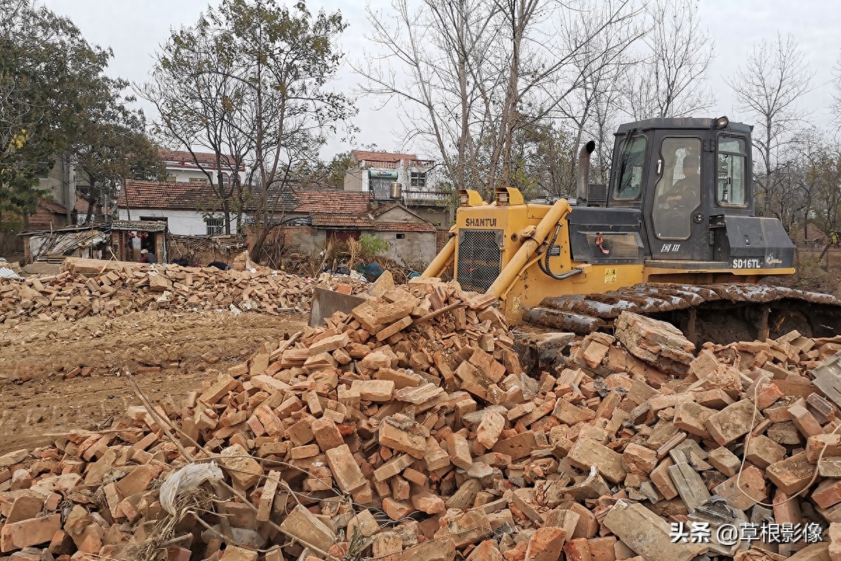 农村流行造地运动，填坑意外钻出多条鱼：村民过年吃不完