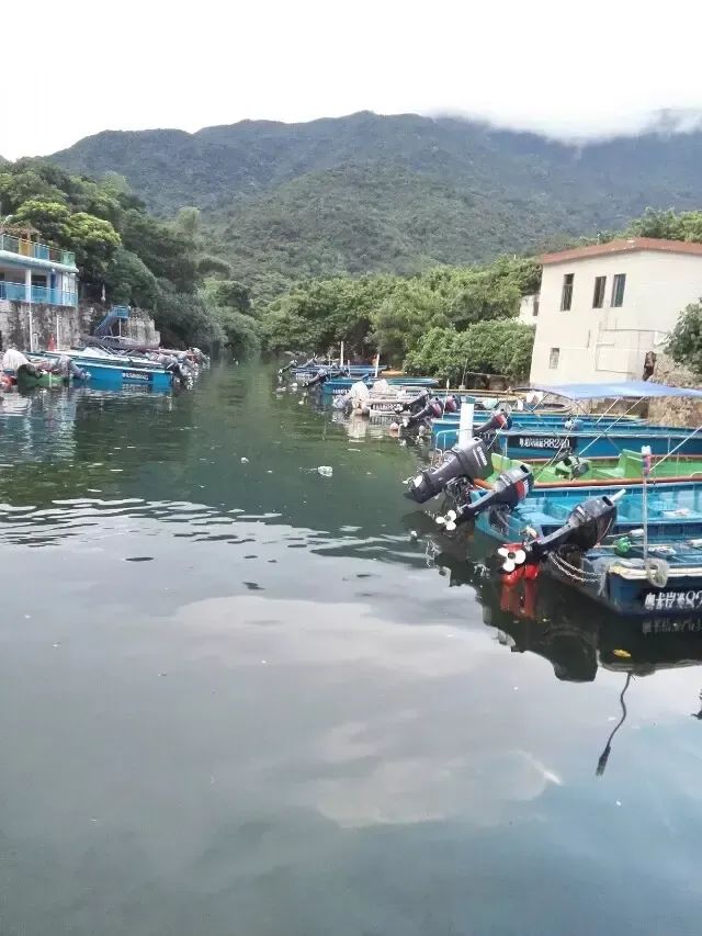 趣味观点生活有哪些内容_生活各种趣味观点有哪些_趣味与生活的素材