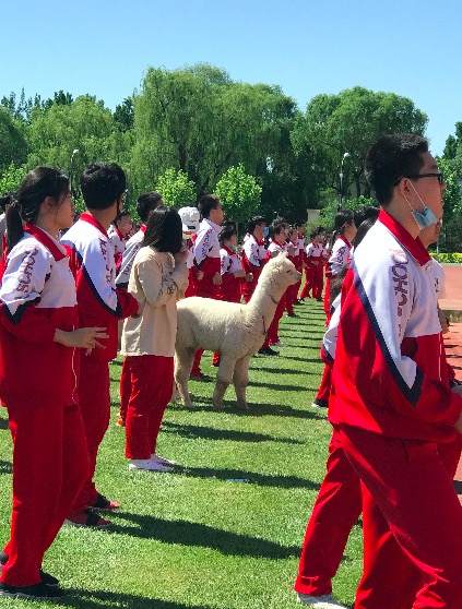 体操造型摆拍_体操拍摄学生心得体会_学生体操拍摄