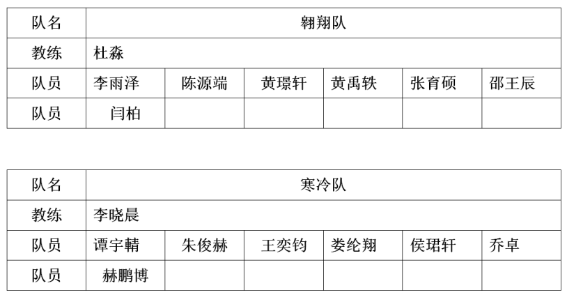 幼儿篮球赛罚球规则是什么_幼儿篮球场罚球线到底线的距离_幼儿篮球犯规规则