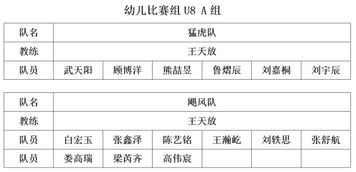 幼儿篮球犯规规则_幼儿篮球赛罚球规则是什么_幼儿篮球场罚球线到底线的距离