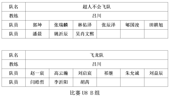 幼儿篮球赛罚球规则是什么_幼儿篮球犯规规则_幼儿篮球场罚球线到底线的距离