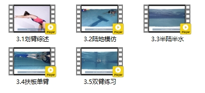 游泳教程自由泳_游泳的技巧与方法自由泳_游泳教程自由泳无水游技巧