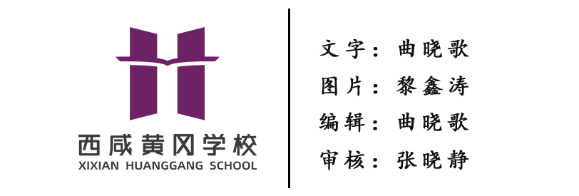 山海杯足球2021冠军_2021年足球杯冠军_足球冠军杯赛程