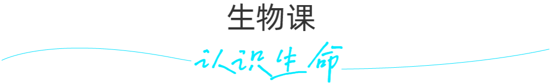 游泳馆冲浪_冲浪技巧女生室内游泳视频_游泳池冲浪视频