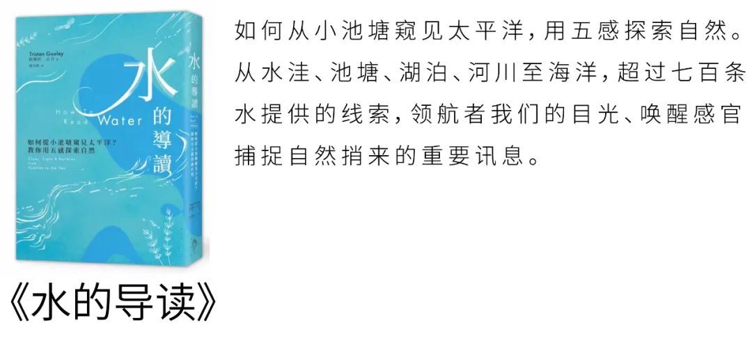 冲浪技巧女生室内游泳视频_游泳馆冲浪_游泳池冲浪视频