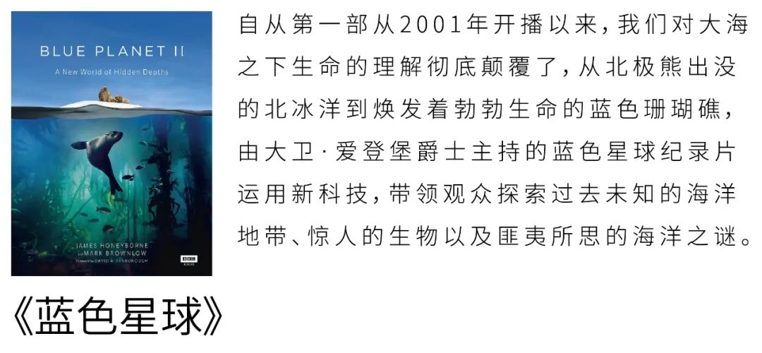 冲浪技巧女生室内游泳视频_游泳馆冲浪_游泳池冲浪视频