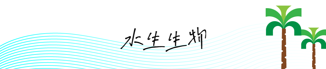 冲浪技巧女生室内游泳视频_游泳池冲浪视频_游泳馆冲浪