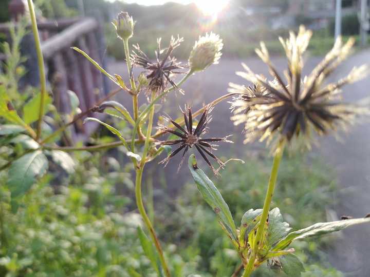 深山生活技巧_深山怎么生存_深山居住的生活