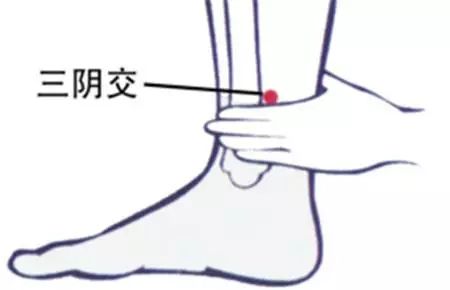 大腿根部健身房运动疼_大腿根疼怎么运动_大腿根部疼痛还能跑步吗