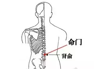 大腿根疼怎么运动_大腿根部健身房运动疼_大腿根部疼痛还能跑步吗