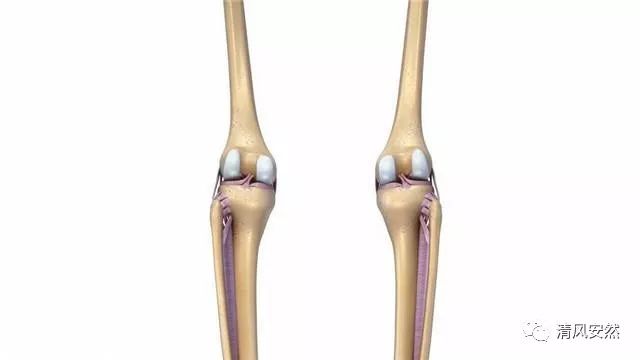 大腿根疼怎么运动_大腿根部健身房运动疼_大腿根疼做什么动作可以恢复