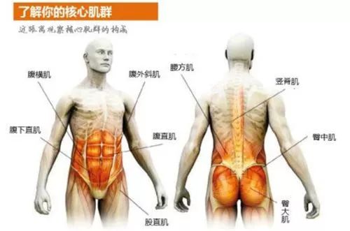 大腿根疼痛可以做什么运动缓解_大腿根部疼痛还能跑步吗_大腿根部健身房运动疼