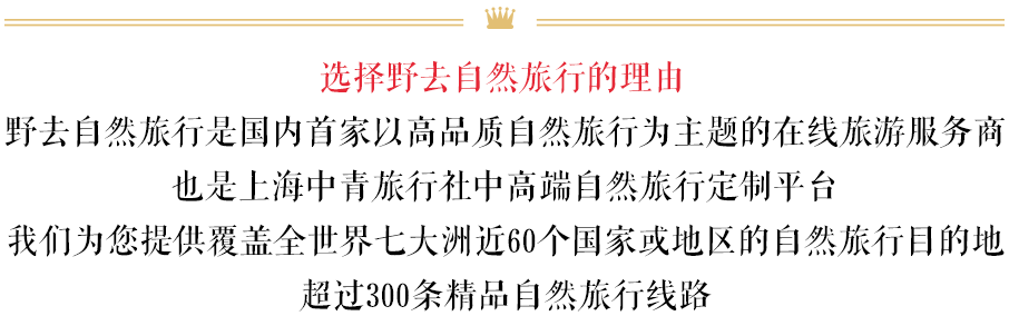 游泳比赛拍摄技巧_游泳题材技巧拍摄分析报告_游泳题材拍摄技巧分析