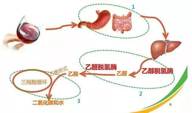 吸烟影响健身练肌肉吗_吸烟对健身的影响_吸烟健身影响长高吗