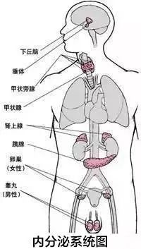 揭阳亚健康调理_揭阳亚健康调理_揭阳亚健康调理