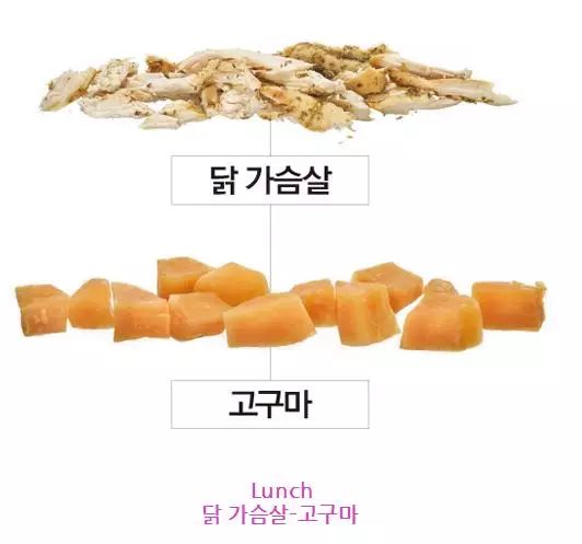 食谱营养健身设计图_健身营养食谱设计_营养食谱设计方案说明